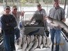 (09/11/2015) - Nice Striped Bass